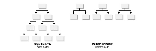 Hierarchy Of Taxonomy Hierarchy Of Taxonomy