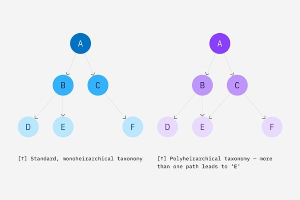 Polyhierarchy taxonomy