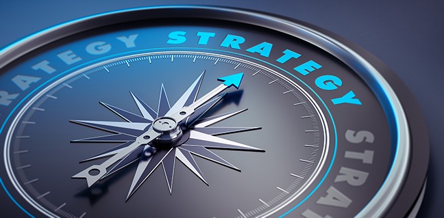 Developing Long Tern Business Strategy For Competitive Goals Developing Long Tern Business Strategy For Competitive Goals